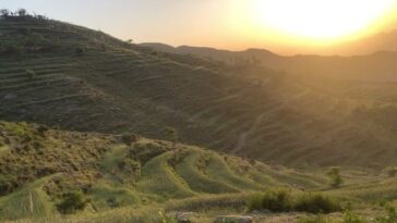 Some where in barikot swat