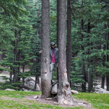 When you are looking for peace, nature is always the answer