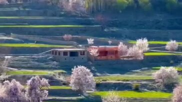 بلتستان
LAND OF MARVELLOUS LUSH GREEN GRASS
BEAUTIFUL PICNIC SPOT....