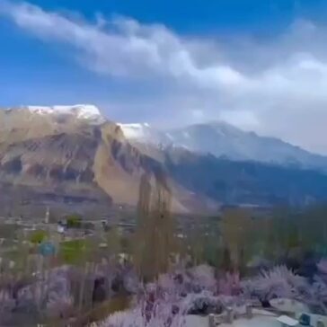 تمنا مدتوں سے ہے جمال مصطفیٰ ﷺ دیکھوں
امام الانبیاء دیکھوں، حبیب کبریا دیکھوںا